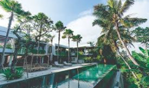 Why Choose Bali for a Retreat on Wellness | Wellnivo - Your Ideal Destination for Perfect Wellness