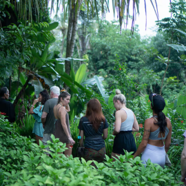 3 Day Yoga, Meditation & Cultural Retreat in Bali