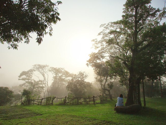 4 Day Wellness Retreat with Yoga, Meditation, Walking, and More in Yujing District, Taiwan